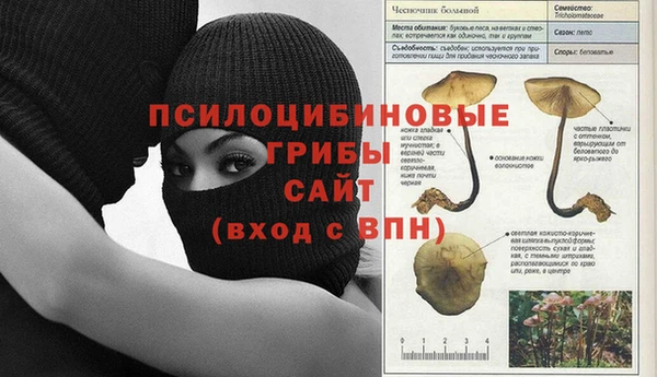 PSILOCYBIN Бронницы