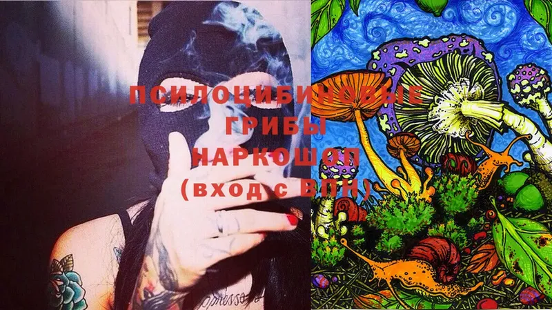 Псилоцибиновые грибы Cubensis  Дмитриев 